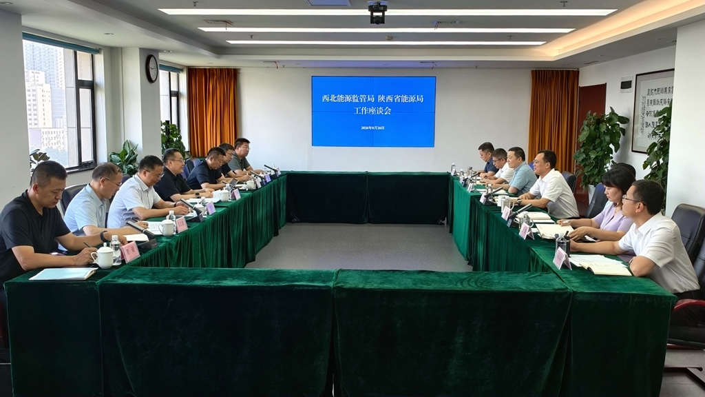 省能源局座谈.png